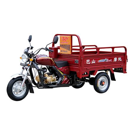 巴山正三轮车系列 110型中太子款